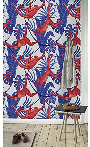 Coloray Fototapete An Einer Wand Einfach Ablösbar Zuhause Dekor 416x254 cm Selbstklebende Tapete Mehrfach Klebbar Wandaufkleber Zimmer, Wohnzimmer, Büro - Tiere Affe.