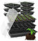 com-four® Juego de Cultivo de 24 Piezas, Juego con cubetas de Agua, Cubierta de Invernadero y bandejas para macetas para Cultivar Plantas de Interior (024 Piezas Set de Cultivo 38x25cm)