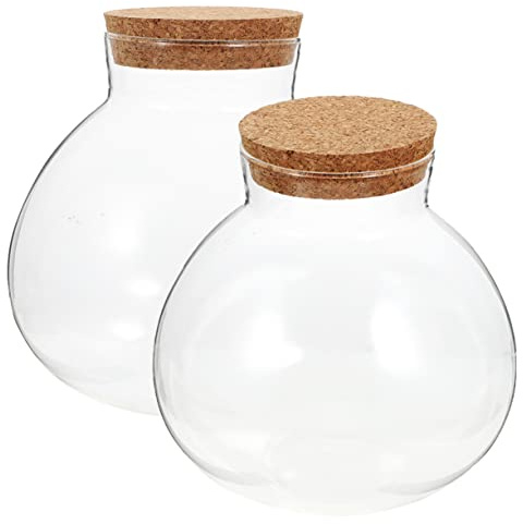 Milisten 2pcs Micro Landscape Bottle Bud Terrarium Bowl Light Terrarium Decoration Air Plant Holders Unique Beaker Bocal Terrarium Container Propagation Ecosphere Terracotta Cork