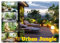 Urban Jungle - wohnen mit Pflanzen (Wandkalender 2025 DIN A4 quer), CALVENDO Monatskalender