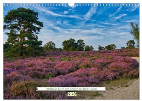 Streifzüge durch den Norden der Niederlande (Wandkalender 2026 DIN A3 quer), CALVENDO Monatskalender: Nordholland - wunderschöne Natur, endlos lange Sandstrände und urige Orte (CALVENDO Orte)