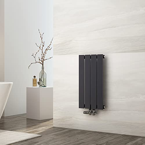EMKE Radiateur à Eau Chaude 60x30 cm, Radiateur plat seule couche connexion centrale, Montage mural vertical design, Anthracite