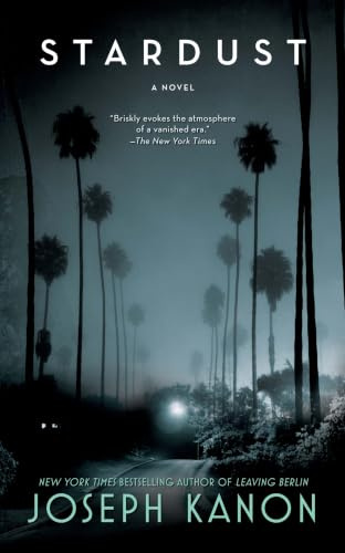 Stardust: A Novel (Washington Square Press)
