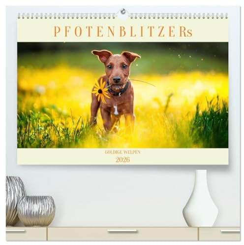 Pfotenblitzers Goldige Welpen (hochwertiger Premium Wandkalender 2026 DIN A2 quer), Kunstdruck in Hochglanz: Süße Hundewelpen von Januar bis Dezember. (CALVENDO Tiere)