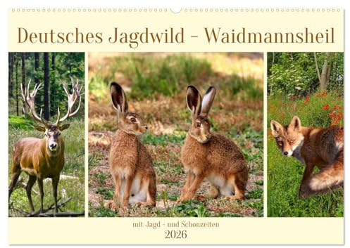 Deutsches Jagdwild - Waidmannsheil (Wandkalender 2026 DIN A2 quer), CALVENDO Monatskalender: Wunderschöne Tiere in Deutschlands Feld und Flur (CALVENDO Tiere)