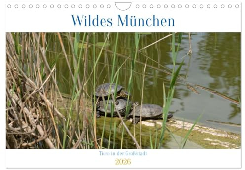 Wildes München (Wandkalender 2026 DIN A4 quer), CALVENDO Monatskalender: Vielfältige Tierwelt mitten in München (CALVENDO Orte)