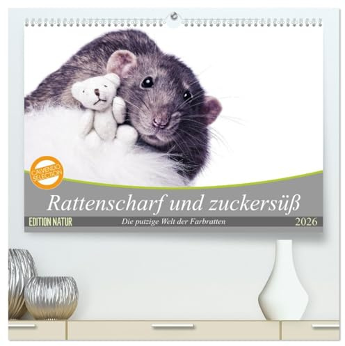 Rattenscharf und zuckersüß (hochwertiger Premium Wandkalender 2026 DIN A2 quer), Kunstdruck in Hochglanz: Die zwölf tierischen Motive der süßen und ... ganze Jahr Freude bereiten. (CALVENDO Tiere)