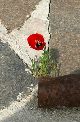 Und vor uns wir..: Wie sie wurden wer sie sind