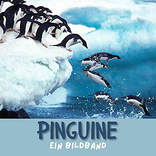 Pinguine: Ein Bildband