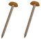 50 Pack 40mm Oak/Tan UPVC Poly Top Pins Nails | UV Resistant Stainless Steel Plastic Headed Polypins for Durable and Weatherproof Fixing of Soffits, Fascias, and Roofline Trims