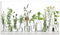 ARTLAND Spritzschutz Küchenrückwand Küche Herd Glas mit Motiv 90x50 cm Desgin Modern Kräuter Pflanzen Blumen Basilikum Lavendel Gewürze H9KE