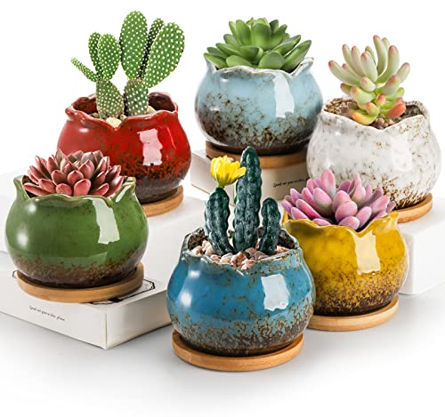 TOPZEA Set of 6 Succulent Plant Pots, 4 Inch Glazed Ceramic Pots with Drainage and Saucer, Mini Bonsai Planter Small Flower Pots for Indoor Outdoor Use