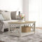 Galano Nova Coffee Table - Modern Distressed Oak Finish - Storage Cabinet for Entryway - Foyer - Living Room - Bedroom - Space Saving (Light Grey/Oak)