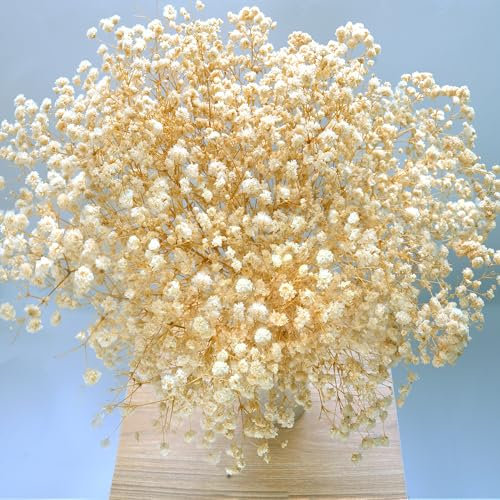 Naunauya Getrocknetes Schleierkraut Weiß & Trockenblumen Deko - Hervorragende Auswahl an Schleierkraut Samen, Hortensien & Strohblumen für Trockenblumen Hochzeiten und Brautsträuße Baby's Breath