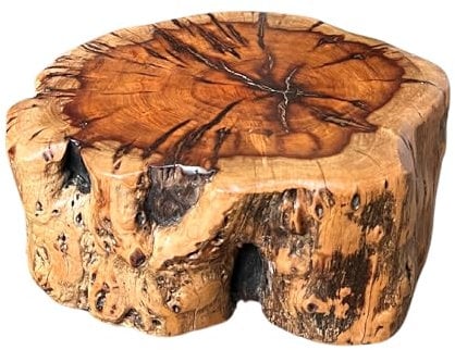THY COLLECTIBLES Natürlicher Baumstamm Baumstumpfhocker mit lebender Kante Massivholz Pflanzenständer Hocker Gartenbank Beistelltisch Beistelltisch (D25.4 cm x H 10.2 cm)