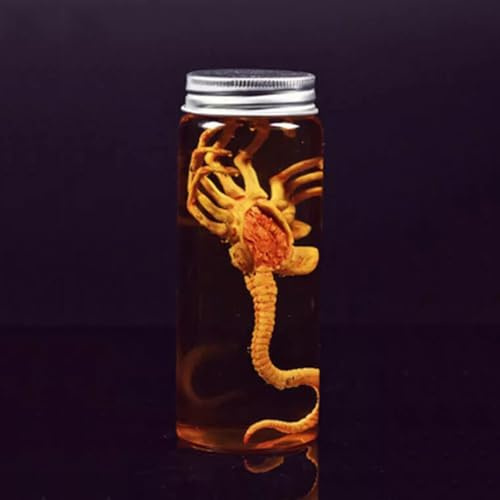VUSLB 1/6 Scale ActionFigurn Predator Alien Facehugger Model & Glass Tank Fit for 12inch Scene Props ActionFigurn Accessories (NO:FG032: Facehugger)