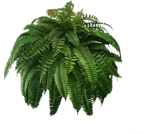 Honseadek Felce artificiale di Boston, piccola pianta verde a forma di erba realistica, decorazione per casa, giardino, feste, matrimoni, interni ed esterni (39 teste)