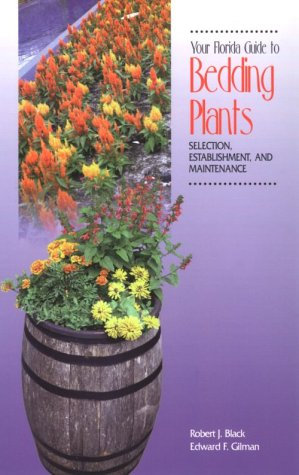 Your Florida Guide to Bedding Plants: Selection, Establishment, and Maintenance