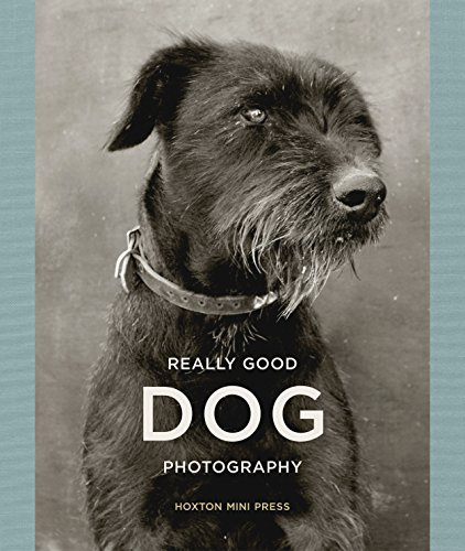 Really Good Dog Photography: Hoxton Mini Press