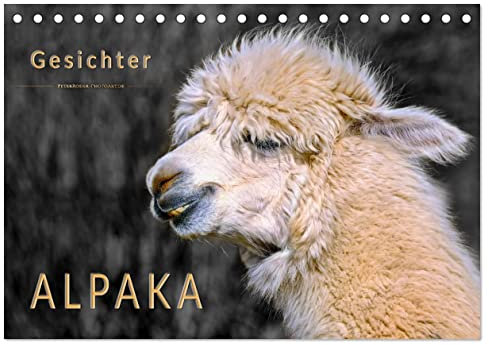 Alpaka Gesichter (Tischkalender 2025 DIN A5 quer), CALVENDO Monatskalender: Eindrucksvolle Bilder der niedlichen Wuschelköpfe. (CALVENDO Tiere)