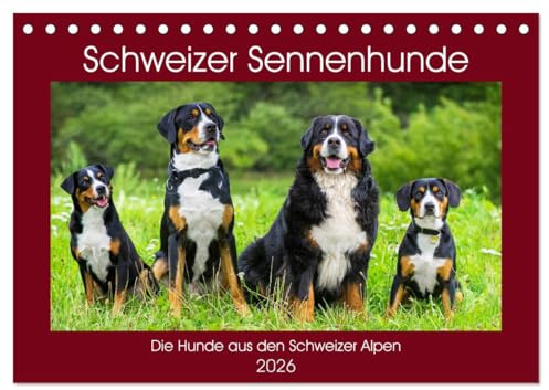 Schweizer Sennenhunde - die Hunde aus den Schweizer Alpen (Tischkalender 2026 DIN A5 quer), CALVENDO Monatskalender: Schweizer Sennenhunde in 13 faszinierenden Bildern (CALVENDO Tiere)