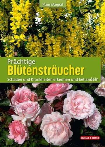 Prächtige Blütensträucher: Schäden und Krankheiten erkennen und behandeln