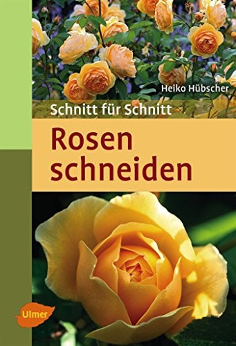 Rosen schneiden: Schnitt für Schnitt