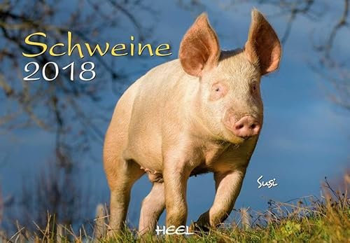 Schweine 2018: Der Sympathische Schweine-Kalender mit den charmanten Namen