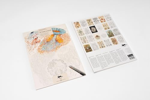 Art Forms in Nature: Artists' Colouring Book (Artists' Colouring Books)