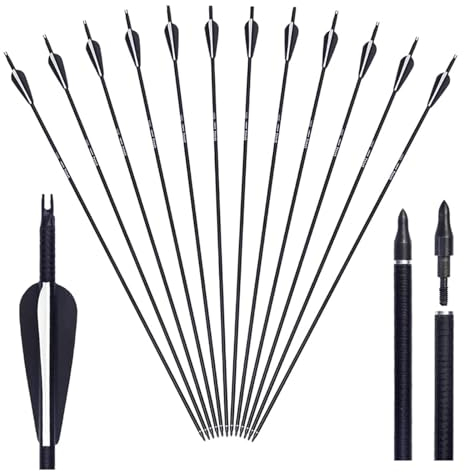Tongtu 12pcs 31 Pfeile für Bogenschießen Glasfaser Bogenpfeile mit Kunststoffbefiederung Jagdpfeile für Recurvebogen und Langbogen
