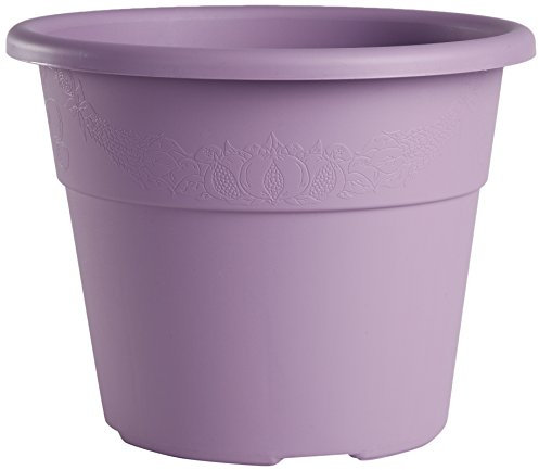 Bama Vaso per Piante, 20 cm