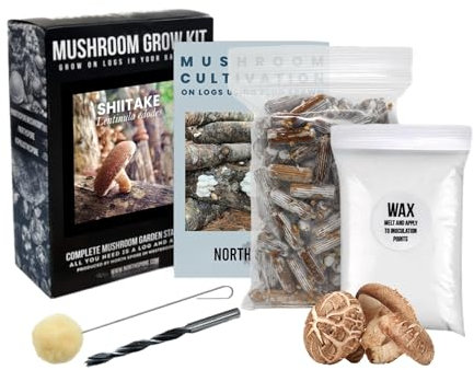 North Spore Bio Shiitake Outdoor Pilz Holzscheite Anzuchtset | Inklusive 100 ct Beutel Pfannenlaich | Komplettes Holz-Starter-Set mit Anleitung | Handgefertigt in Maine, USA