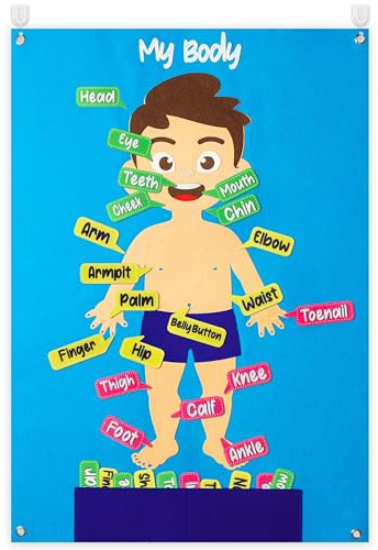 WATINC Montessori Toy Felt Body Story Board Set for Children Educational Hanging Body Toy Storytelling Board Set Reusable Early Learning Play Kit for Birthday Gift
