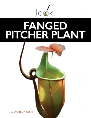 Fanged Pitcher Plant (Look!)