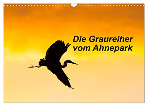 Die Graureiher vom Ahnepark (Wandkalender 2026 DIN A3 quer), CALVENDO Monatskalender: Faszinierende und ausdrucksstarke Fotos von den Graureihern im Vellmarer Ahnepark bei Kassel (CALVENDO Tiere)
