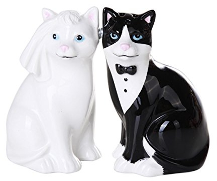Juego de salero y pimentero magnético de cerámica para gatos de boda