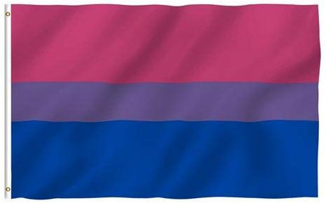 The Joke Shop Bisexuelle Flagge, Festival Banner Gay Pride, 90 x 150 cm, Polyester