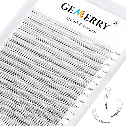 3D Pre made Fan Eyelashes Extensions 640 Fans Big Box Premade Lash Fan for Eyelash Extensions 0.10 Russian Volume Lashes C Curl Mix 8-15mm 16 Rows/Tray Mega Volume by GEMERRY (3D-0.10-C-mix)
