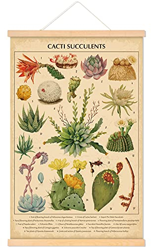 Vintage Cacti Succulent Poster Cactus Wall Art Prints Rustic Cacti Hanging Wall Decor Hanging Canvas Frame Wall Poster for Living Room Bedroom Decor, 15.7 x 23.6 Inches