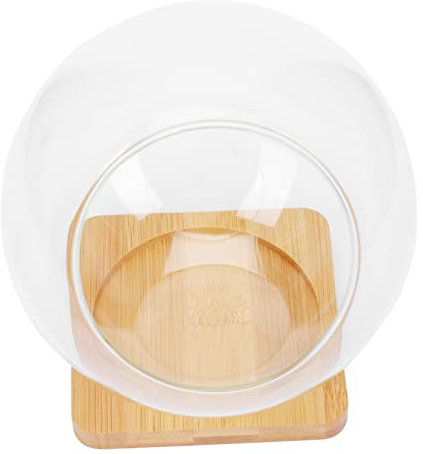 iplusmile Transparenter Sukkulententopf Aus Glas Blumentopf Aufbewahrungshalter Home Organizer Multi-funktionale Haushalt Lagerung Inhaber Für Zuhause Hotel Esszimmer Kleine Ornamente Einfac