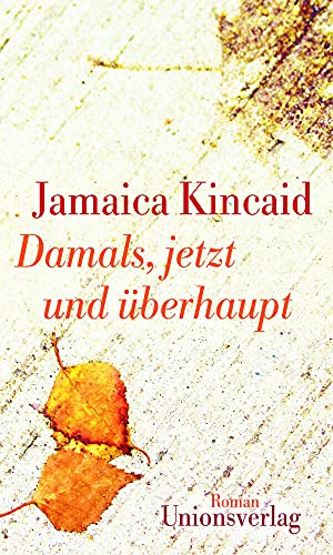 Damals, jetzt und überhaupt: Roman