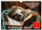 Faultier - Albtraum Sport (Wandkalender 2025 DIN A4 quer), CALVENDO Monatskalender