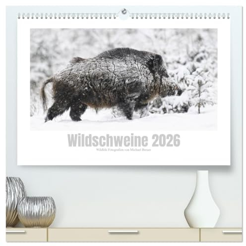 Wildschweine – Wildlife Fotografien (hochwertiger Premium Wandkalender 2026 DIN A2 quer), Kunstdruck in Hochglanz: Eindrucksvolle Aufnahmen von Schwarzwild in freier Wildbahn (CALVENDO Tiere)