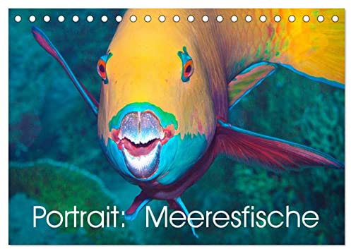 Portrait: Meeresfische (Tischkalender 2026 DIN A5 quer), CALVENDO Monatskalender: Fische halten kaum still - Portraitfotos (CALVENDO Tiere)