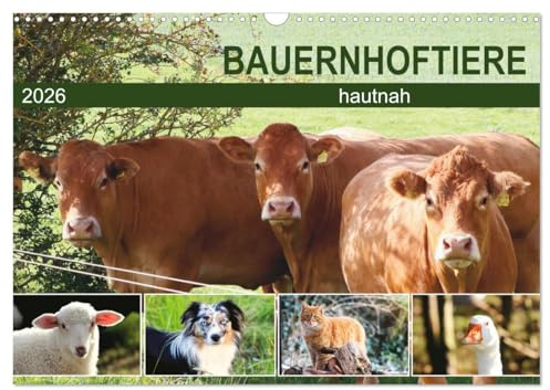 Bauernhoftiere hautnah (Wandkalender 2026 DIN A3 quer), CALVENDO Monatskalender: Zauberhafte Tierfotografie auf dem Land (CALVENDO Tiere)