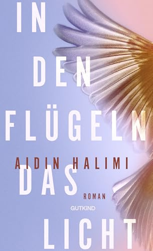 In den Flügeln das Licht: Roman | Aufwachsen im Iran der Revolution – Ein bewegender Roman über Familie und Widerstand.