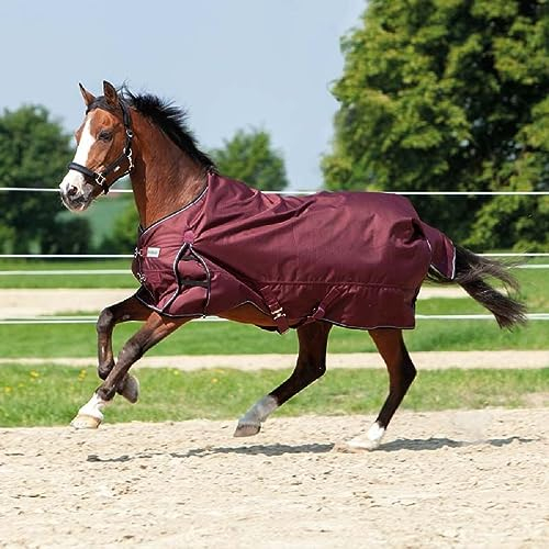 Kavalkade Outdoordecke Turnoutdecke Wasserdicht 1200 D Alaska IV Fleece (145cm, Bordeaux)