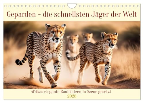 Geparden - die schnellsten Jäger der Welt (Wandkalender 2026 DIN A4 quer), CALVENDO Monatskalender: Afrikas elegante Raubkatzen in Szene gesetzt (CALVENDO Tiere)