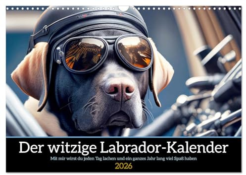 Der witzige Labrador-Kalender (Wandkalender 2026 DIN A3 quer), CALVENDO Monatskalender: Mit mir wird der Labrador Besitzer jeden Tag lachen und ein ganzes Jahr lang viel Spaß haben (CALVENDO Tiere)