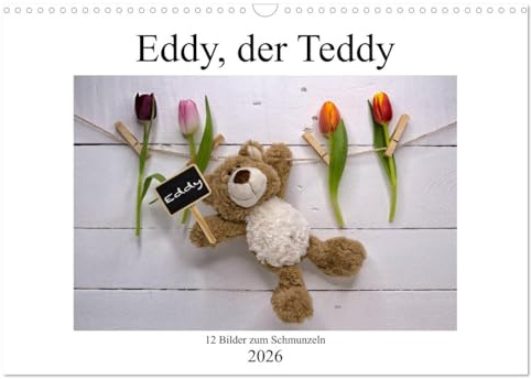 Eddy, der Teddy - 12 Bilder zum Schmunzeln (Wandkalender 2026 DIN A3 quer), CALVENDO Monatskalender: Alltagssituationen aus dem Leben eines Kuscheltiers. (CALVENDO Spass)